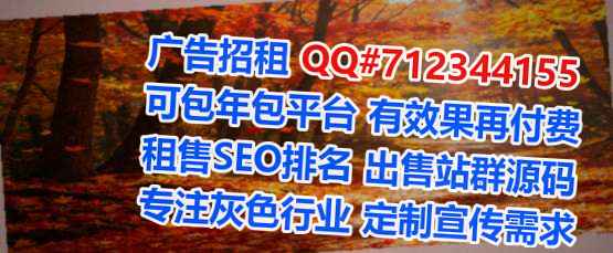 岑巩借腹生子市政事务所